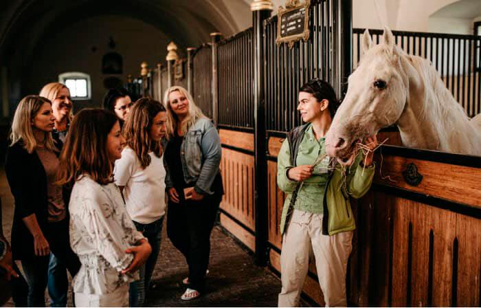 Neznanec ponoči iz Kobilarne Lipica izpustil nekaj konjev