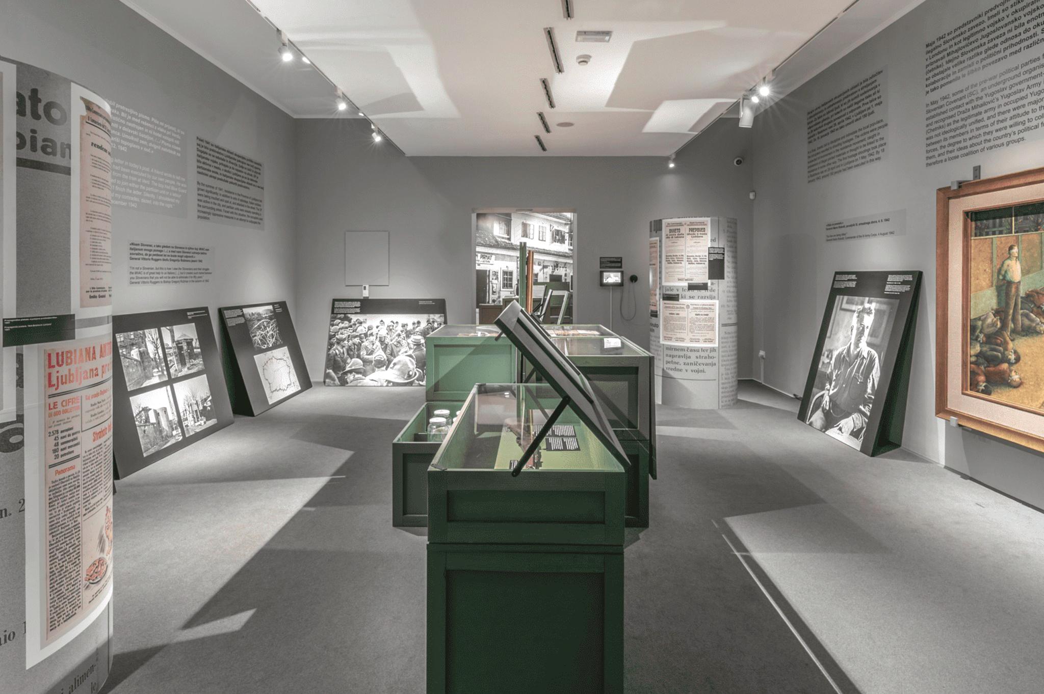 Ljubljana 1495 dni med okupacijo in odporom