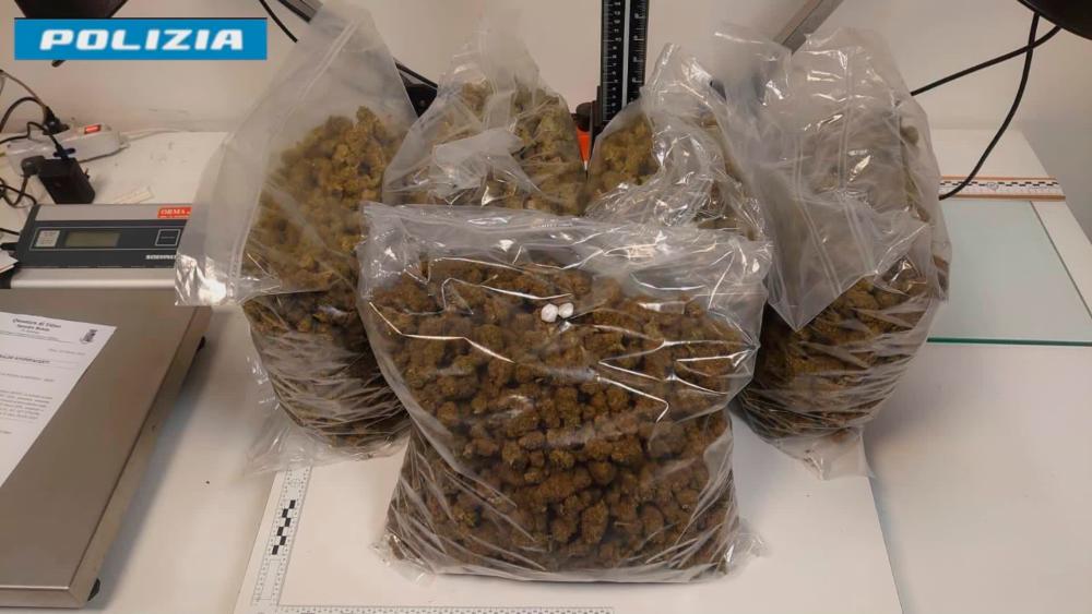 Marihuano prejeli kar s hitro paketno dostavo