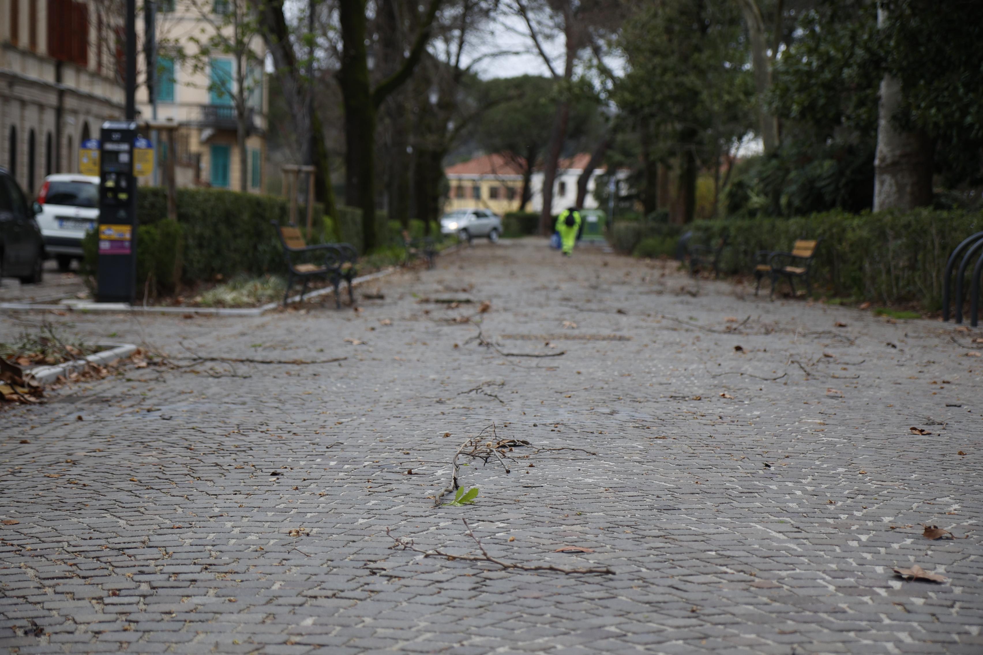 Veter povzroča težave v Gorici in okolici (FOTO)