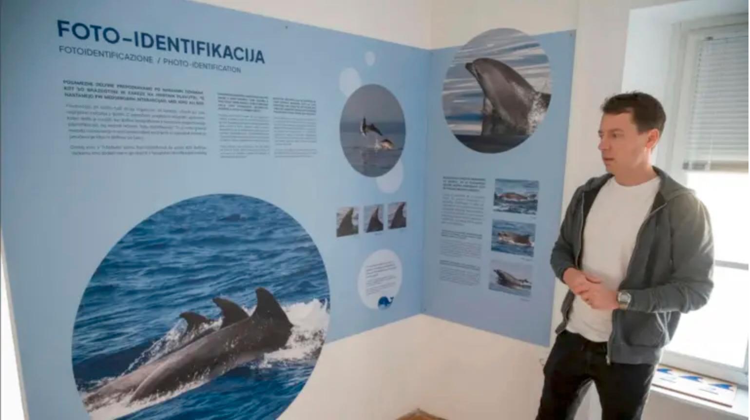 Na dnevu narave 2026 nagradili društvo za morske sesalce Morigenos