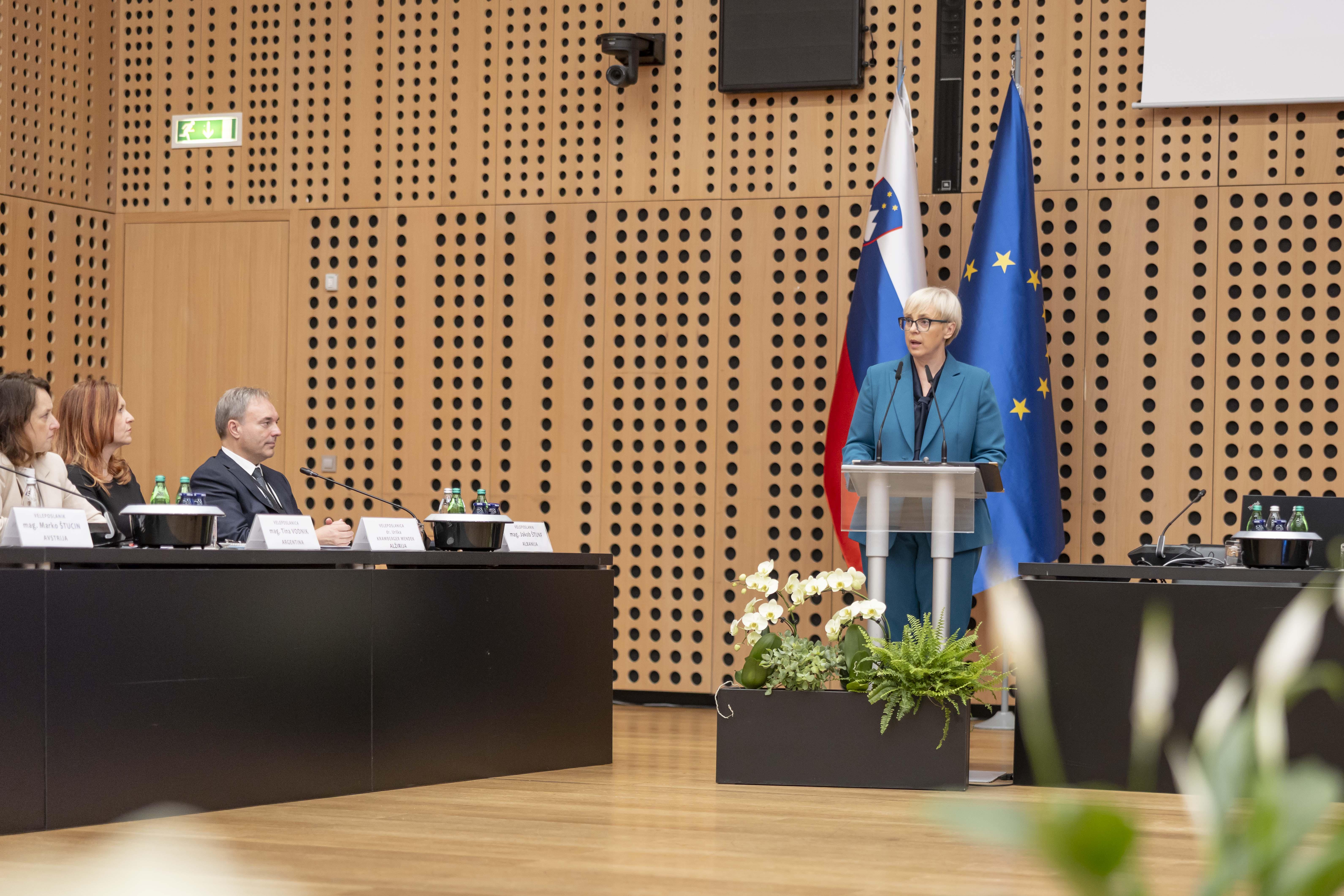 »Ne bom tiho, če zunanja politika ne bo skladna z ustavo«