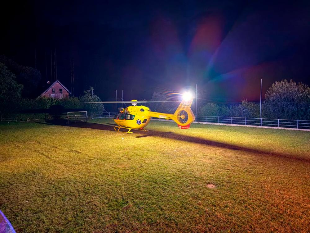 Na planšariji jo je pičilo več sršenov in je doživela anafilaktični šok