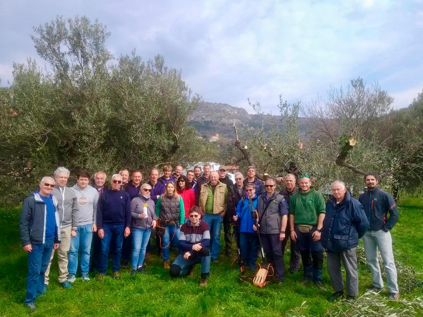Znanja pri obrezovanju oljk ni nikoli dovolj