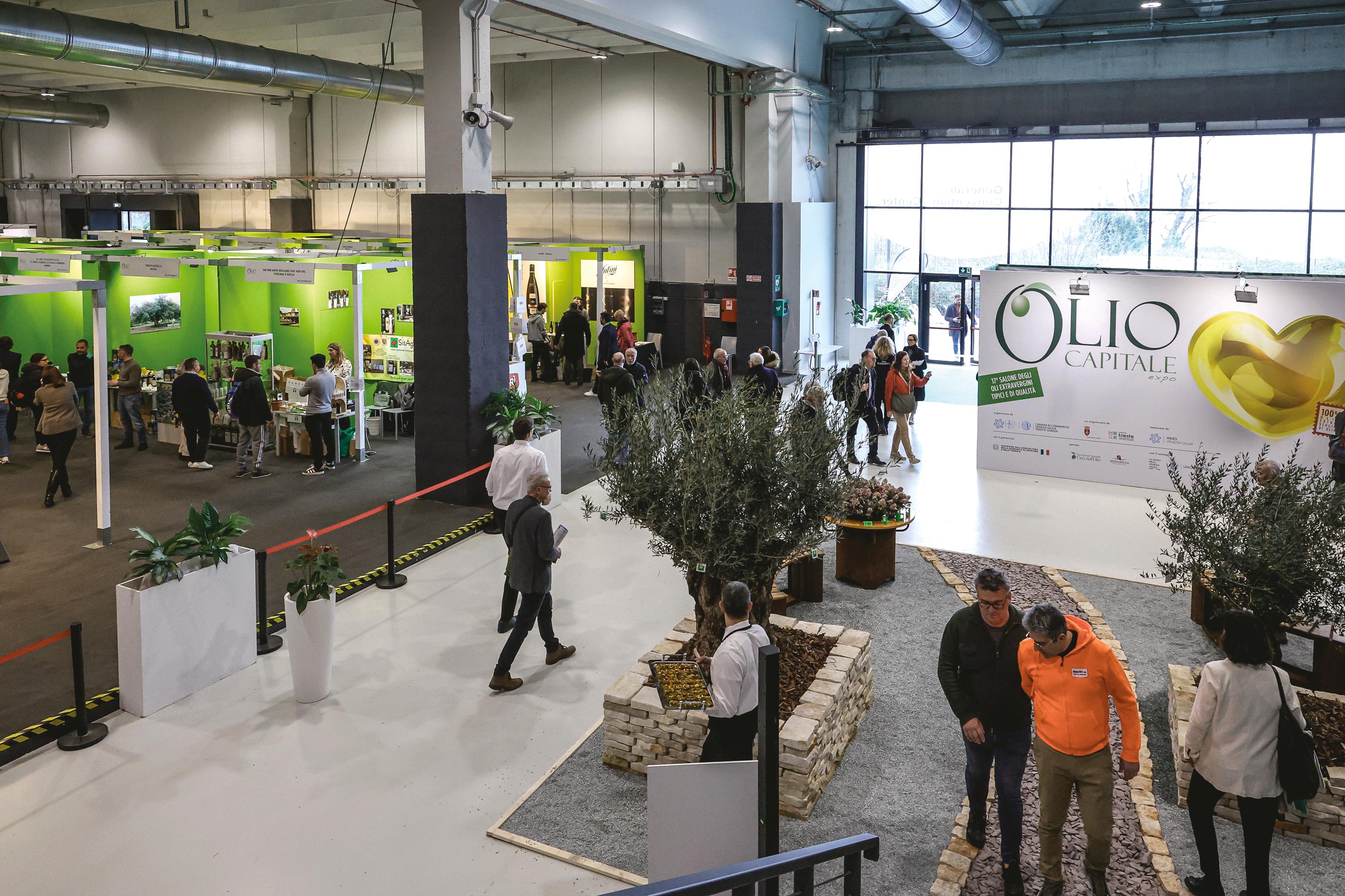 Trst se bo spet spremenil v prestolnico kvalitetnega oljčnega olja