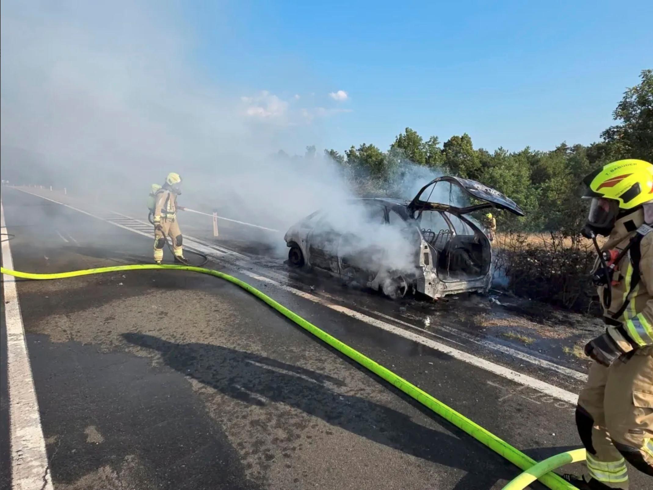 Zgorel avtomobil, požar se je razširil na bližnje grmičevje