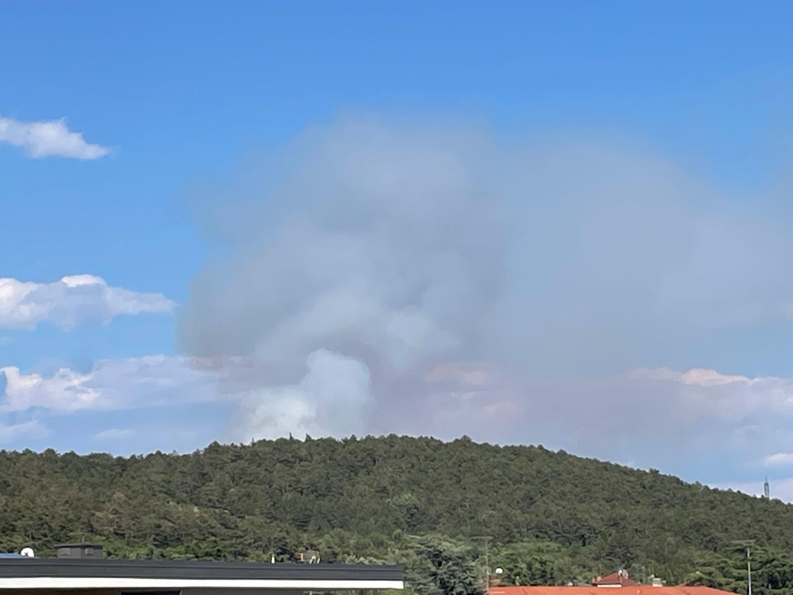 Zagorelo v okolici Brestovice