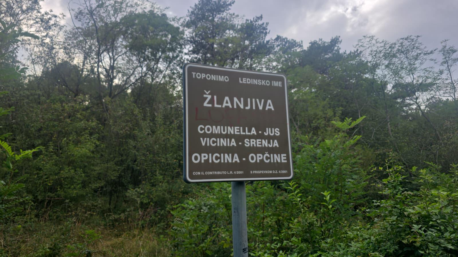 Gori med Selivcem in Vejno
