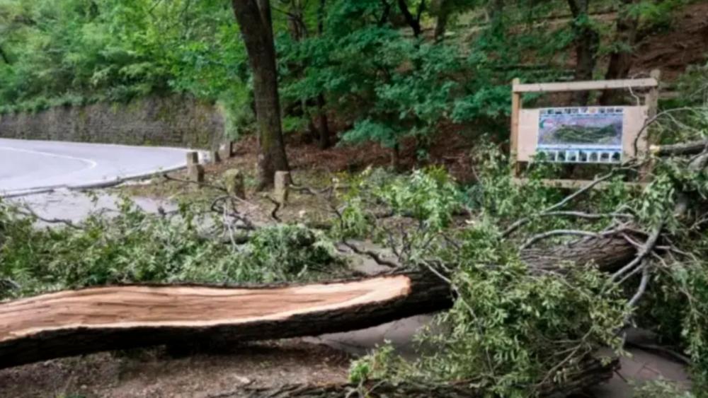 Od nedelje v Trstu zaradi burje zapirajo mestne parke