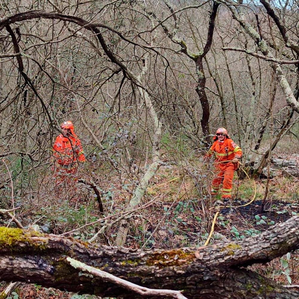 Na Nabrežinskem tudi s helikopterjem pogasili požar