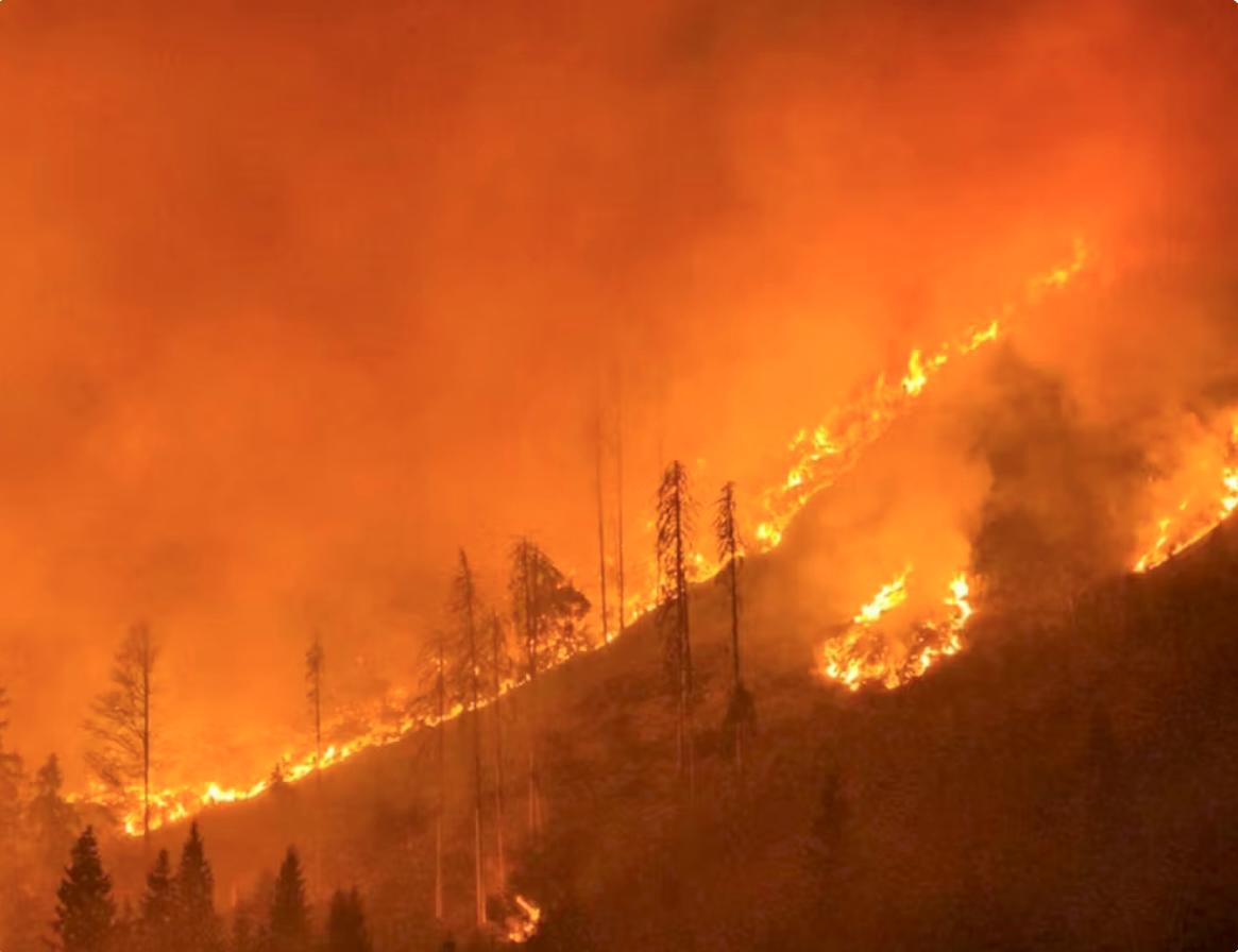 Na avstrijskem Koroškem od četrtka divja požar v naravi