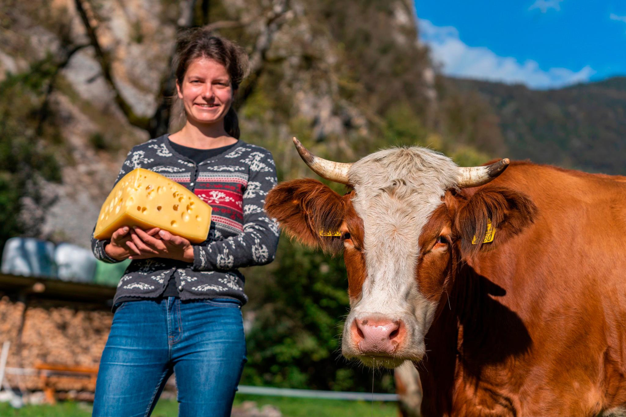 Slovenija in Italija za vpis alpske prehranske dediščine v Unescov register