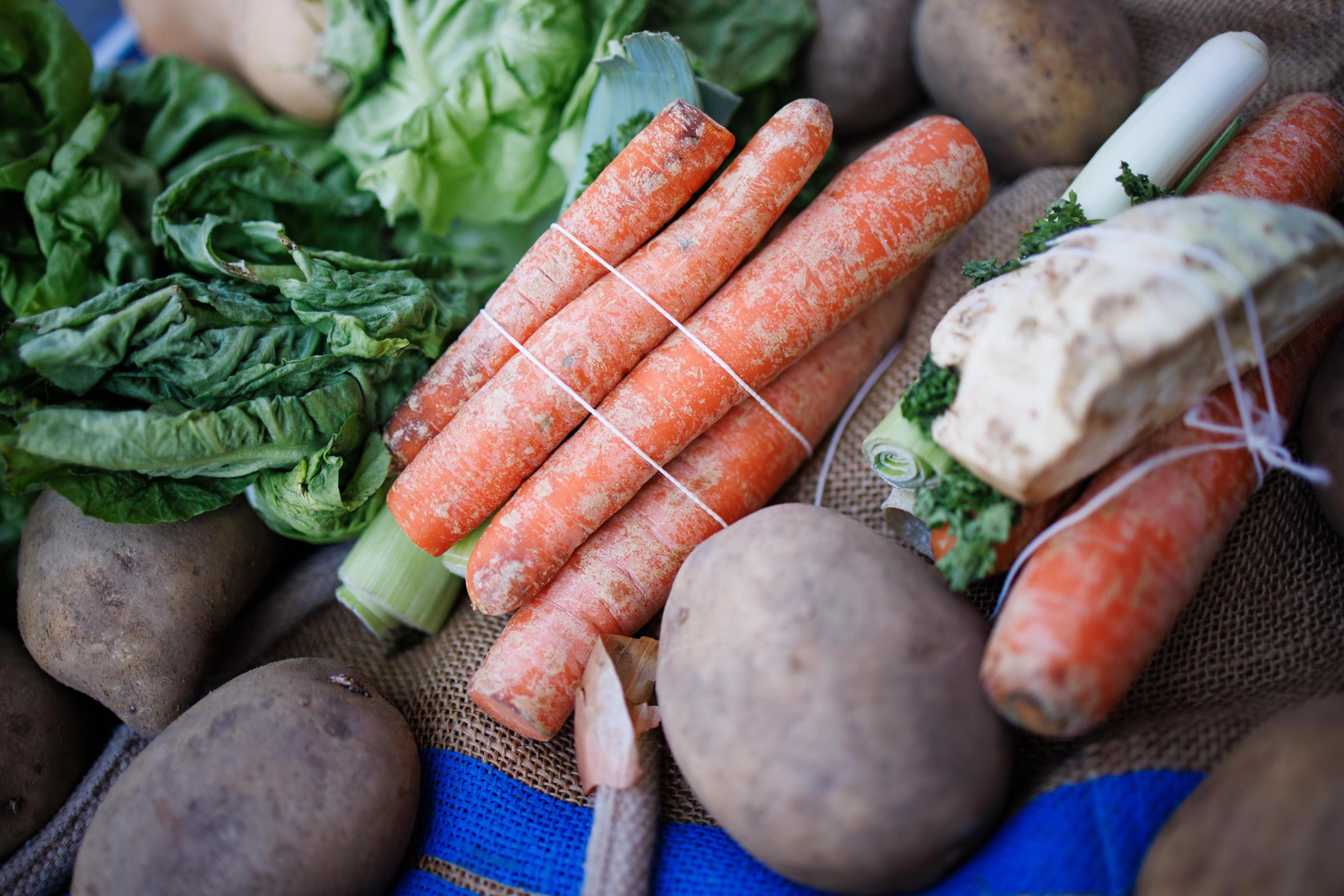 V Sloveniji lani vsak zavrgel 79, v Italiji pa 98 kilogramov hrane