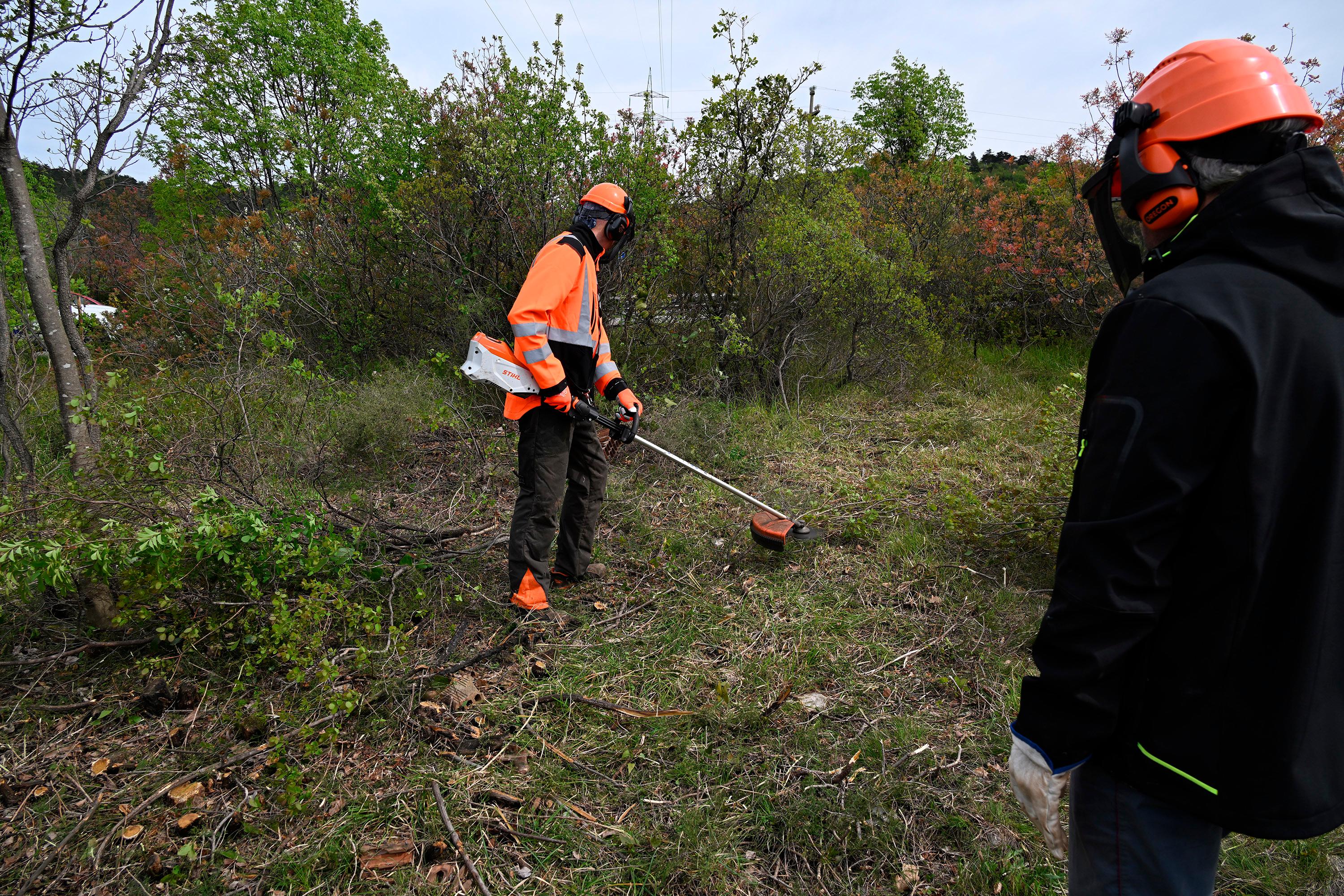 Aktivno upravljanje Krasa ni izbira, je pogoj za njegovo zaščito