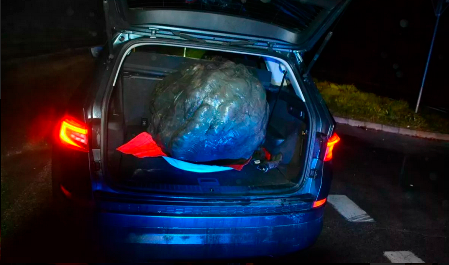 Skrunitelju Titovega kipa v Velenju grozi večletna zaporna kazen