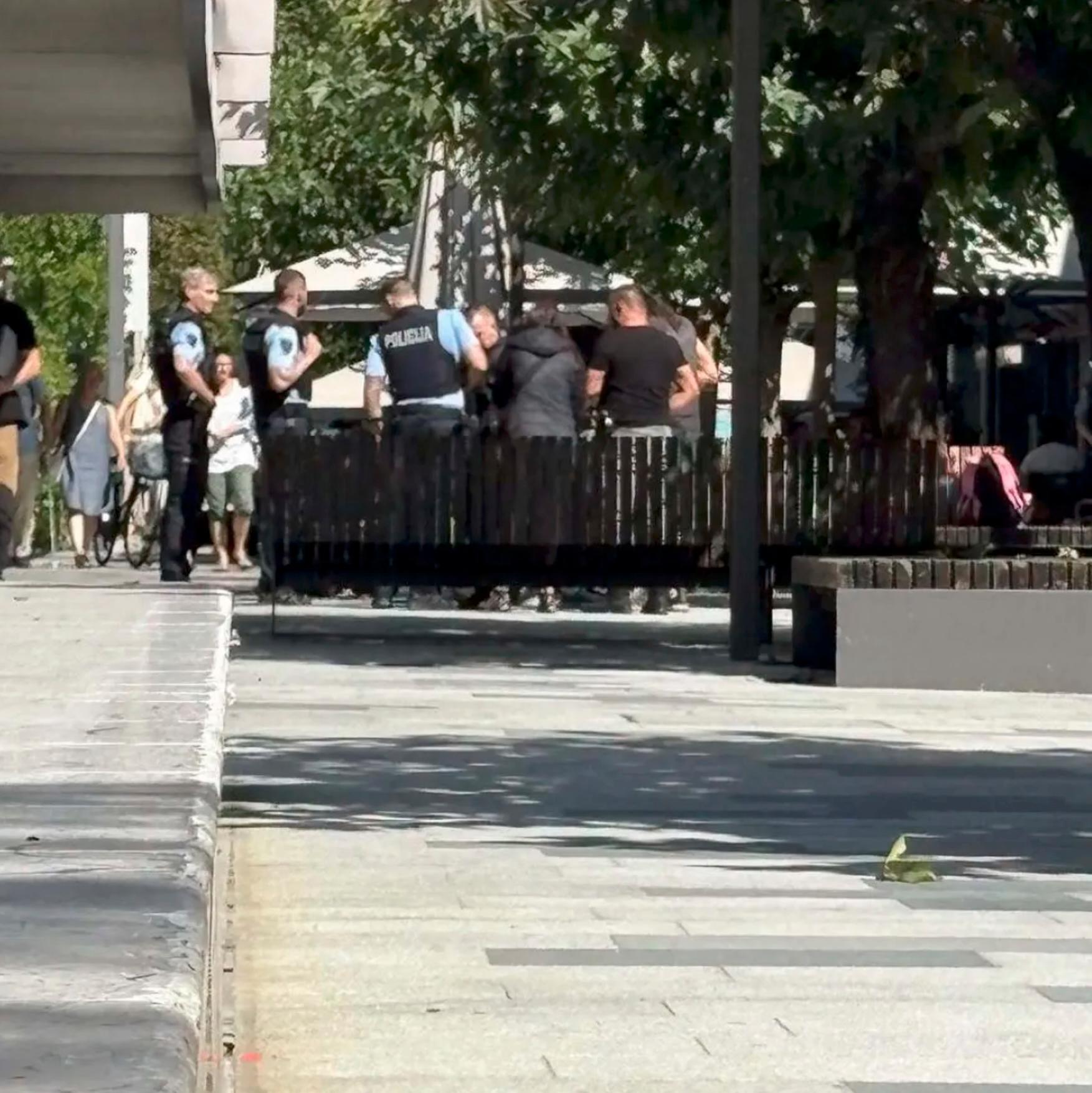 Ulično predstavo z mačetami v Novi Gorici prekinili policisti