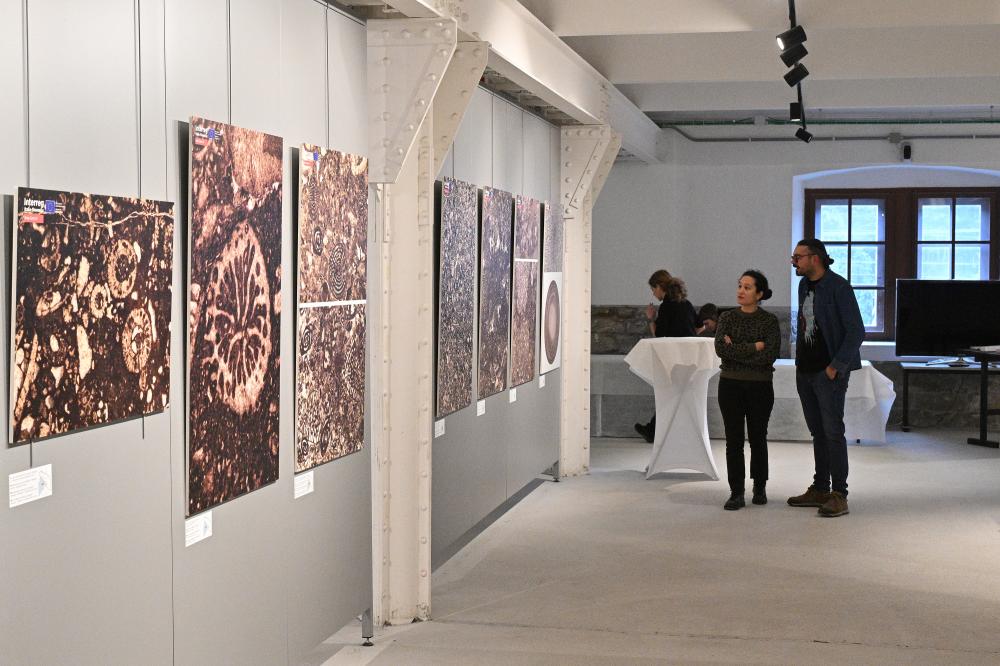 Umetnine, skrite v kraškem kamnu