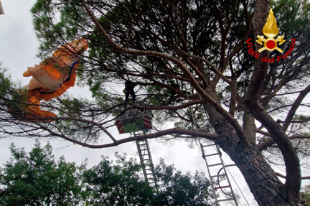 V Sesljanu jadralni padalec pristal na drevesu