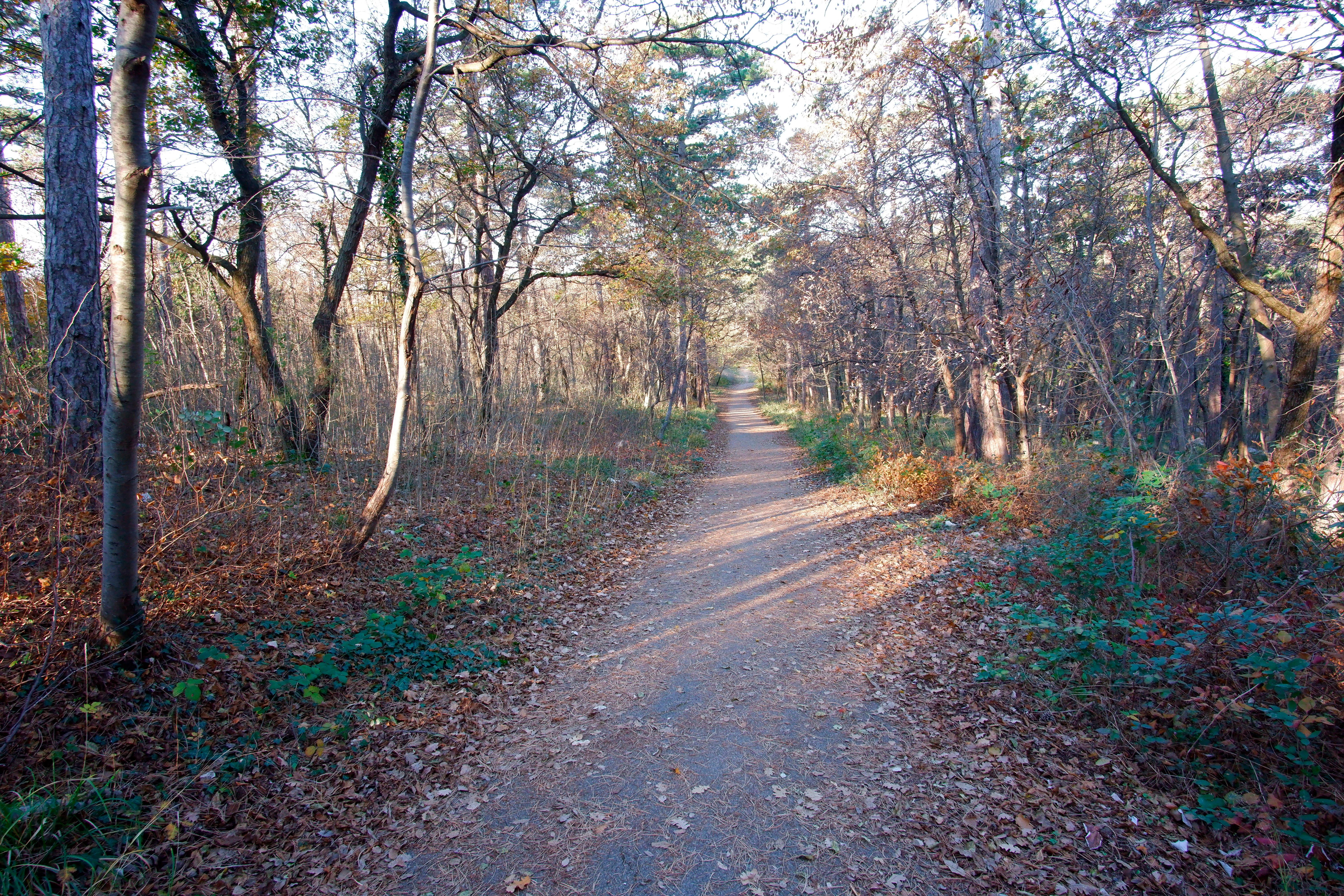 Kraški jusarji s kopico pritožb proti sklepom javnih uprav