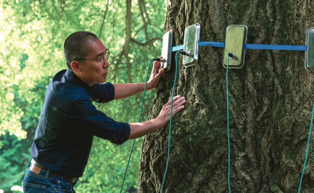 Na Tržaškem filmskem festivalu nocoj sklepna slovesnost