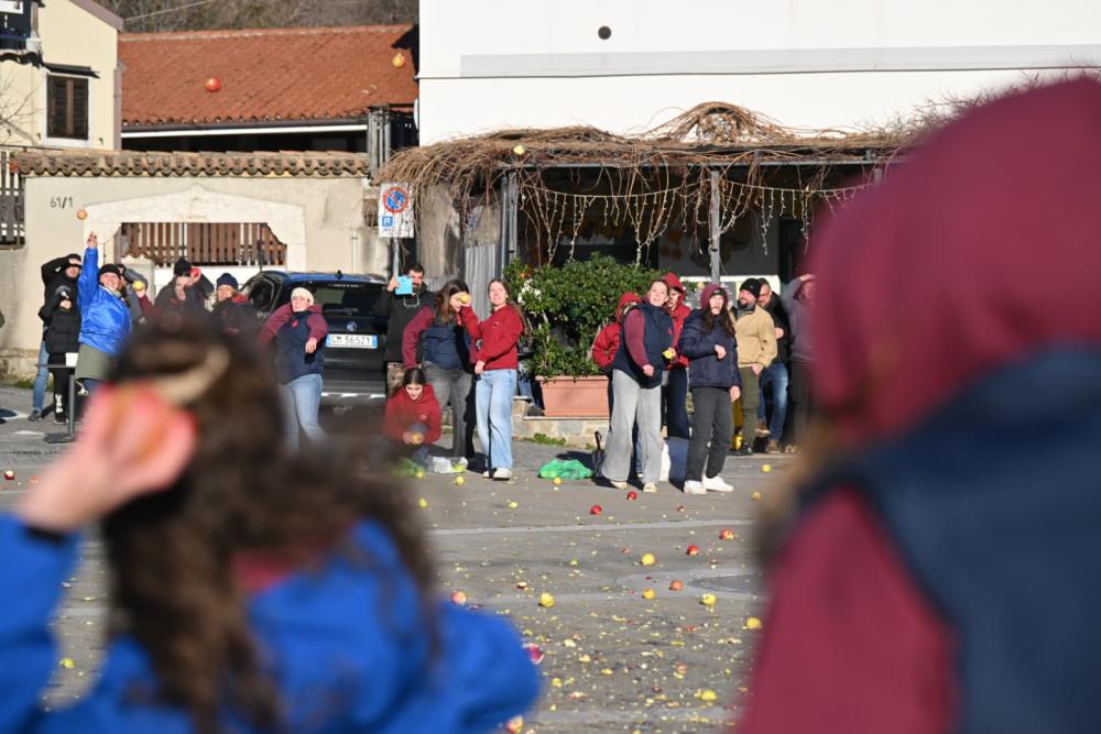 V Boljuncu so spet letela jabolka