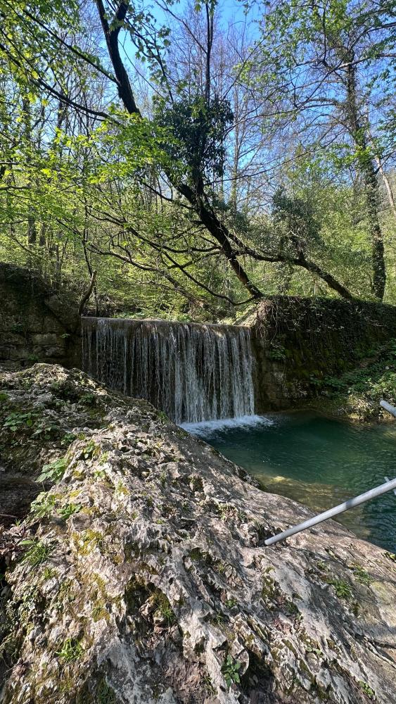 Mladi zeleni ambasadorji povezujejo čezmejno območje