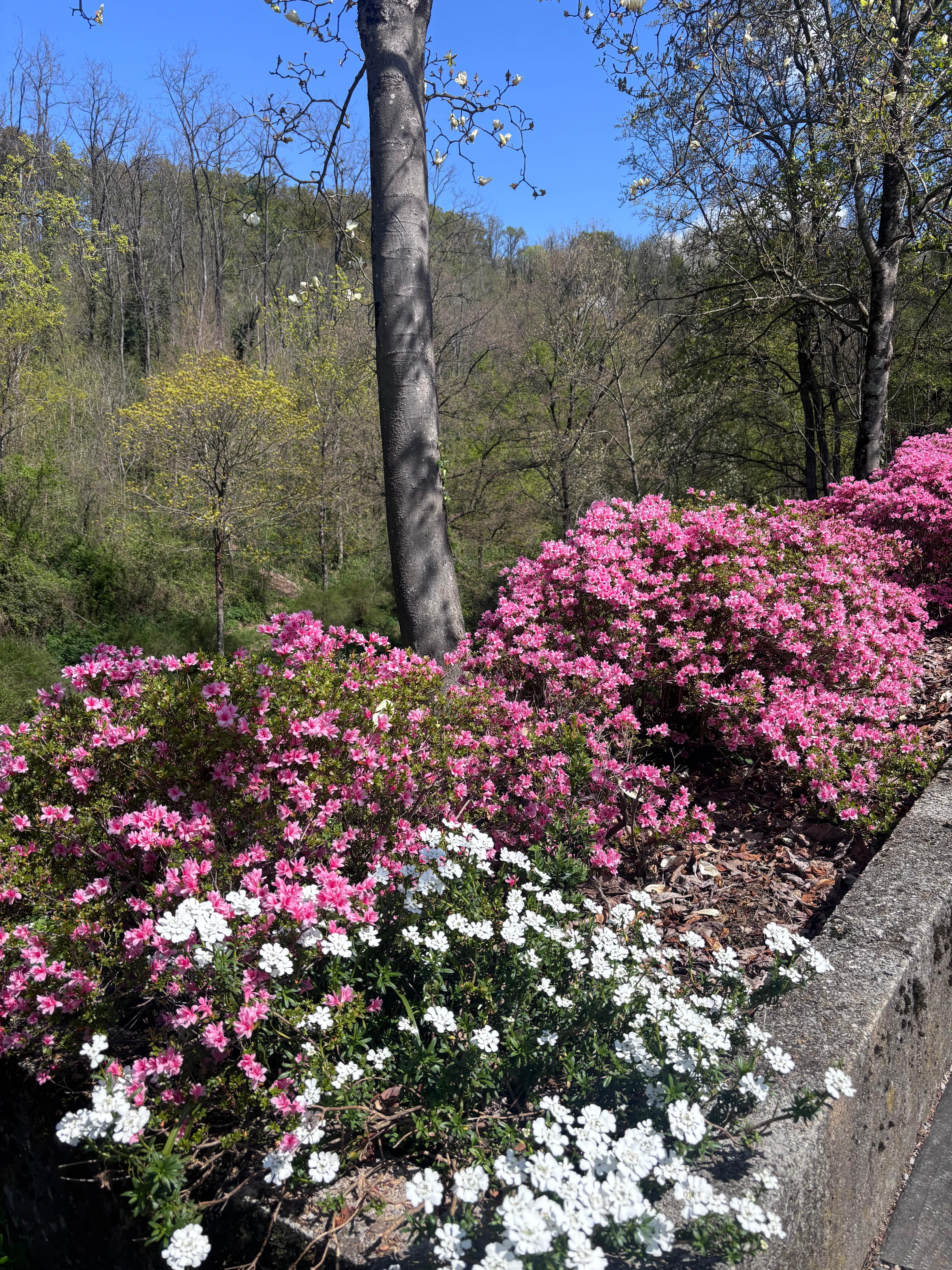 Vrt Viatori spet odpira vrata