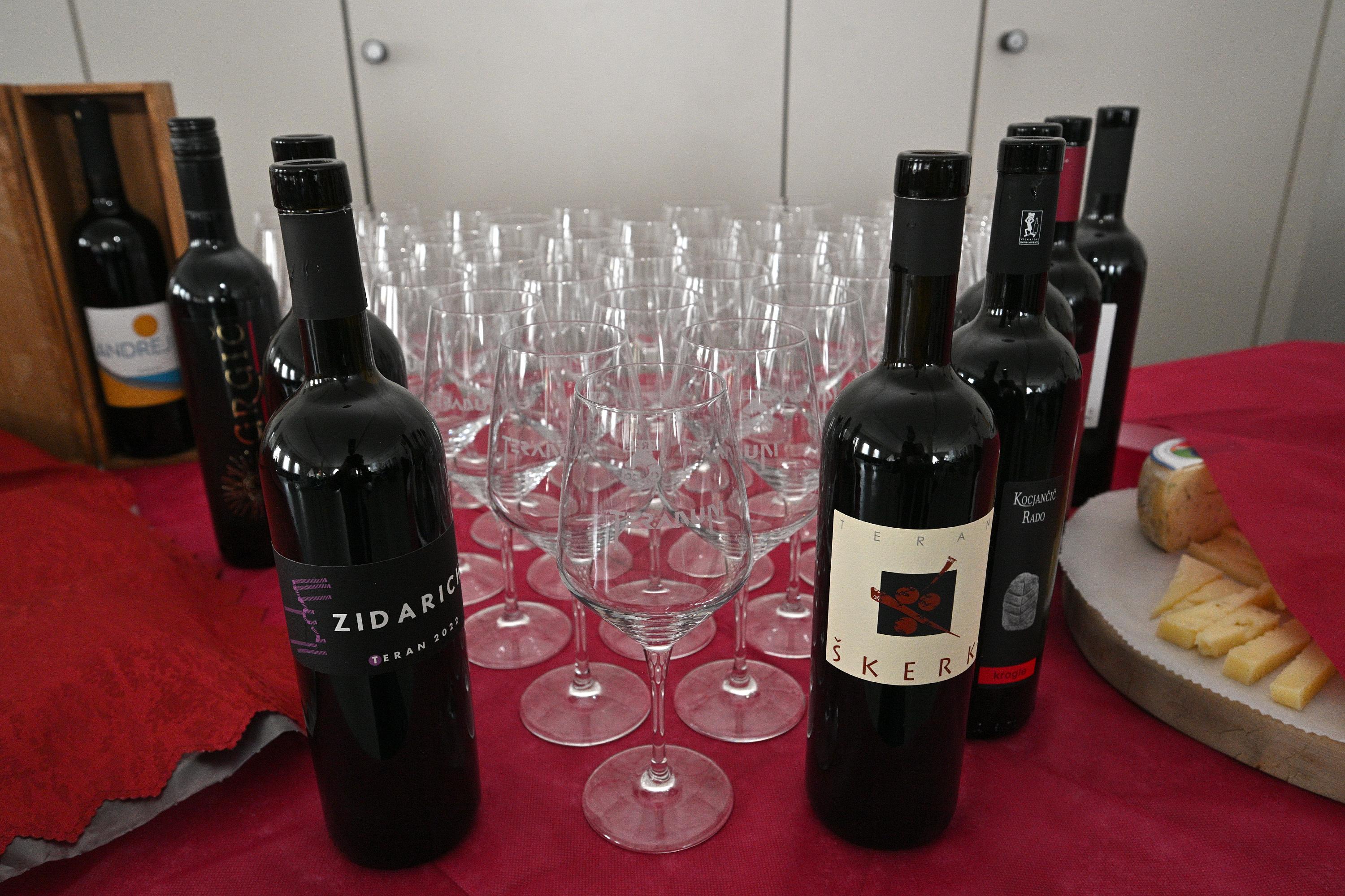 Ohranjajo kraško vinarsko tradicijo